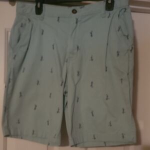 George Light Blue Men's Shorts with Navy Pattern
